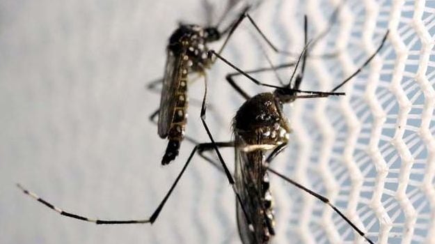 Andhra Pradesh Government Aims to Make State Mosquito-Free in 2 years