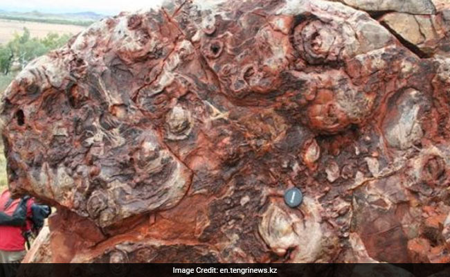 New Fossils Show Life On Earth At Least 3.7 Billion Years Old