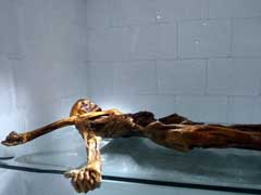 Stone Age Mummy Still Revealing Secrets, 25 Years On