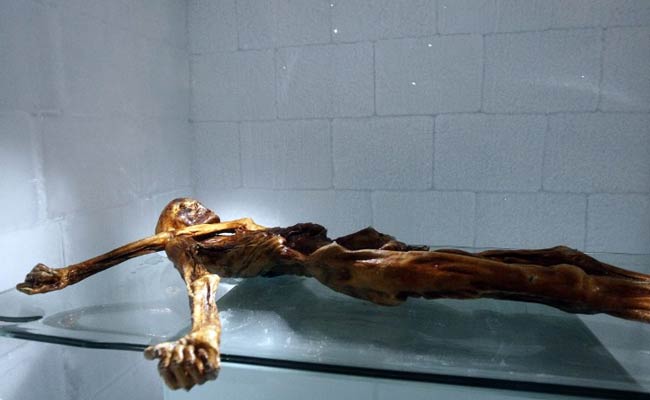 Stone Age Mummy Still Revealing Secrets, 25 Years On