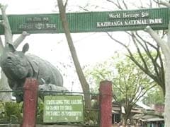 First Rhino Death Of 2017 Reported In Kaziranga
