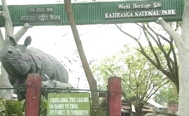 First Rhino Death Of 2017 Reported In Kaziranga