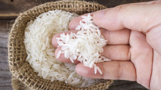 Indian, Australian Scientists Partner To Develop Salt-Tolerant Rice
