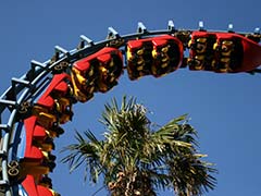 Got Kidney Stones? Try Riding Roller Coasters!