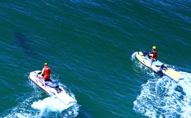 Teenage Surfer Mauled At Australian Shark Hotspot