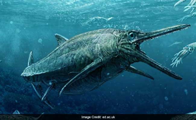 Mysterious Jurassic Sea Monster Unveiled