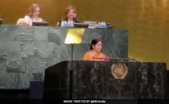 India Will Ratify Paris Climate Deal On October 2, Sushma Swaraj Tells UN