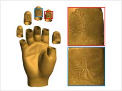Person of Indian Origin-Led Team Develops Life-Size 3D Hand Models