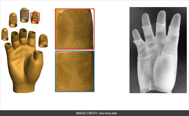 Person of Indian Origin-Led Team Develops Life-Size 3D Hand Models