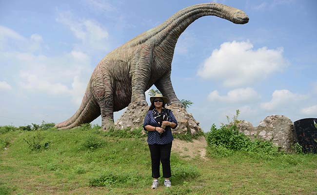 How A Former Gujarat Royal Came To Be Known As 'Dinosaur Princess'