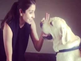 अनुष्का शर्मा और उनके 'डूड' लेकर आए हैं एक और क्यूट वीडियो, आप भी देखिए अनुष्का शर्मा और उनके 'डूड' लेकर आए हैं एक और क्यूट वीडियो, आप भी देखिए