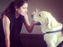 Anushka Sharma Is Back With Another Video With Dude. Such <I>Cutiepies</i>