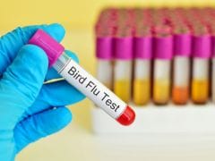 China Confirms Human Bird Flu Case in Guizhou Province