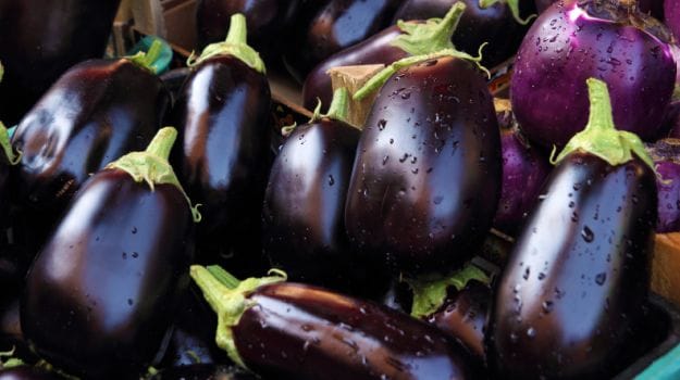Purple Foods: Why You Should Include Them in Your Daily Diet