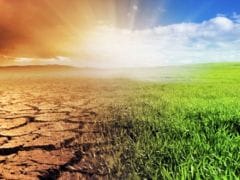 Climate Change is Shifting Areas of Skin Disease Concern