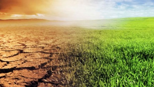 World Food Day 2016: When Climate Change Teams Up With Escalating Hunger and Food Wastage