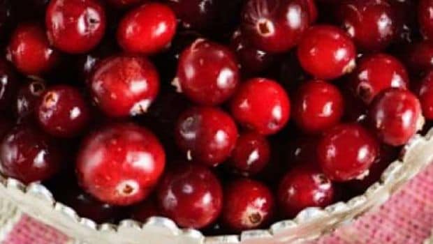 Cranberries Squashed as Folk Remedy for Urinary Infections