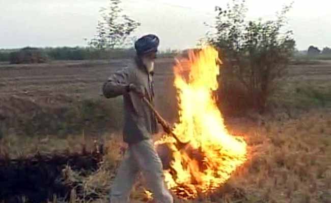 पंजाब, हरियाणा के खेतों में धान की पराली को जलाने से दिल्ली में प्रदूषण का खतरा बढ़ा