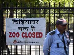 दिल्ली के चिड़ियाघर से चंदन के 11 पेड़ चोरी, जांच में जुटी पुलिस