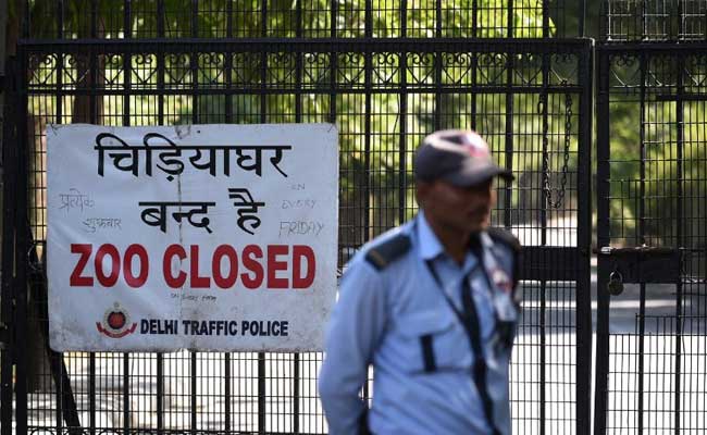 Delhi Zoo Shuts Down Amid Bird Flu Scare