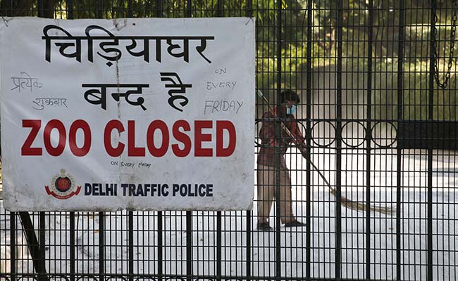1 More Bird Dies, Number Of Deaths Rise Over 80