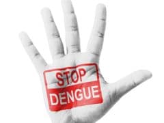 Early Onset of Dengue: 5 Simple Things You Can Do to Protect Yourself