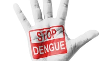 Early Onset of Dengue: 5 Simple Things You Can Do to Protect Yourself