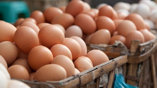 Avoid Half-Cooked Chicken & Raw Eggs: Warns Delhi Government