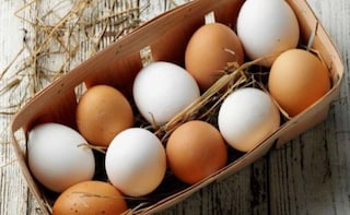 End Procurement of Eggs from Caged Hens: Mahajan to McDonald's