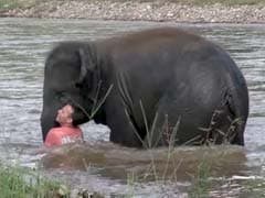 Baby Elephant Rushes To Save 'Drowning' Human Friend In Video Gone Viral