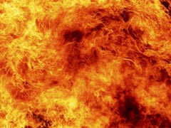 नोएडा में एसबीआई के रिकॉर्ड रूम में भयंकर आग, अहम दस्तावेज जलकर खाक
