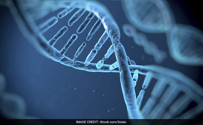 Gene Therapy May Treat Alzheimer's: Study