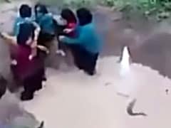 Terrified Girls Forced To Swim With Python In 'Motivational Camp'