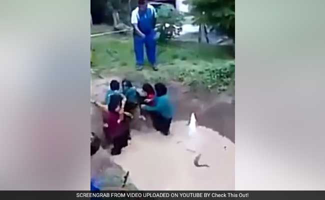 Terrified Girls Forced To Swim With Python In 'Motivational Camp'