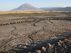 Scientists Discover Hundreds Of Footprints Left At Dawn Of Modern Humanity