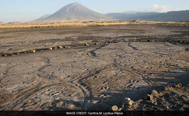 Scientists Discover Hundreds Of Footprints Left At Dawn Of Modern Humanity