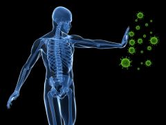 Strong Immune System के लिए इन 9 फूड्स में से हर रोज किसी एक का करें सेवन, रोगों से लड़ने में मिलेगी मदद
