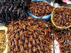 Thailand To Export Insects To EU For Human Consumption