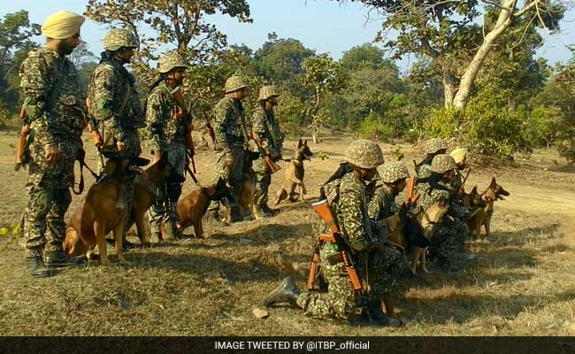 In A First, Special Medals For Indo-Tibetan Border Police Canines, Horses