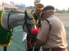 Indo-Tibetan Border Police Dog, Horse Awarded Special Service Medals
