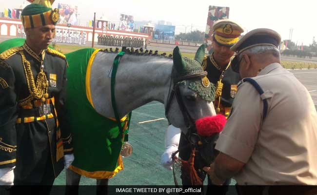 Indo-Tibetan Border Police Dog, Horse Awarded Special Service Medals