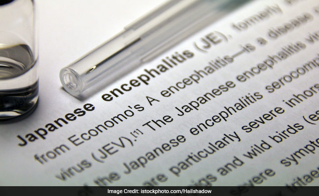 Delhi Reports 'Isolated' Case Of Japanese Encephalitis