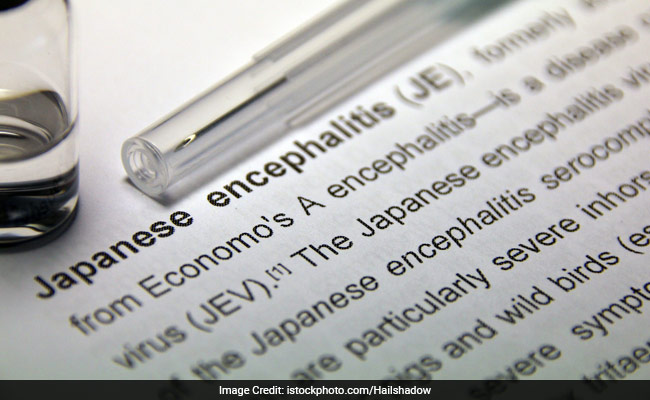 Delhi Reports 'Isolated' Case Of Japanese Encephalitis: Key Facts And Prevention Tips Delhi Reports 'Isolated' Case Of Japanese Encephalitis: Key Facts And Prevention Tips