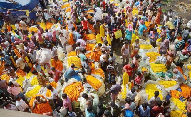 Rains Fail To Dampen Durga Puja Spirit Of Kolkata On 'Mahasaptami'