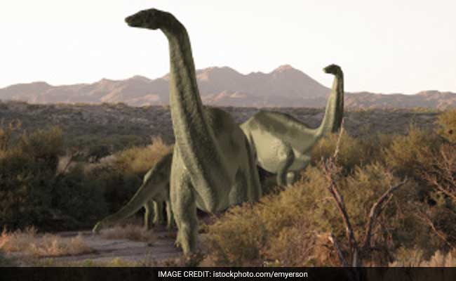 New Species Of Long-Necked Dinosaur Found In Australia