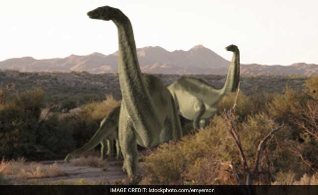 Dinosaurs Would Have Survived If Asteroid Hit Earth Elsewhere, Scientists Claim