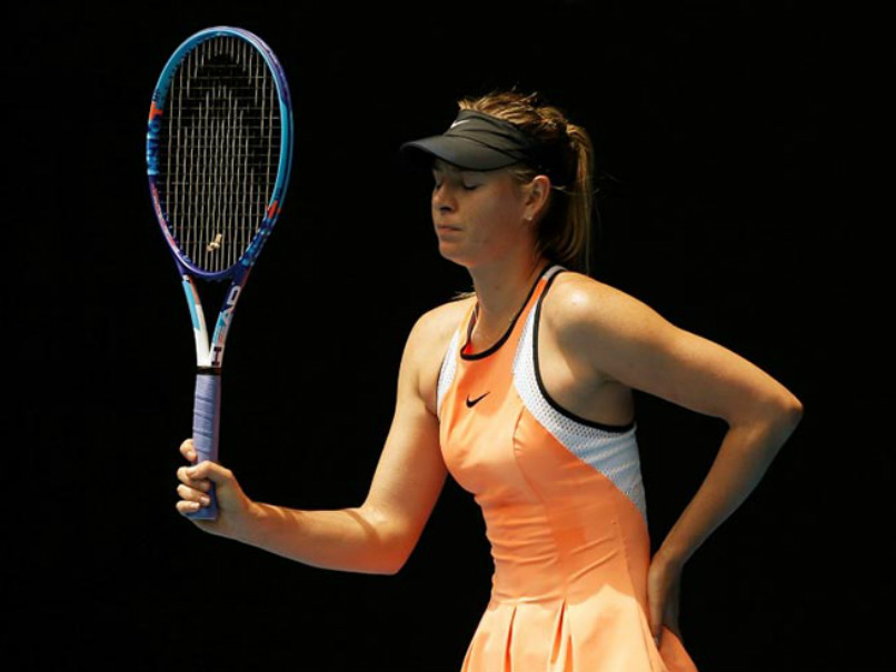 Maria Sharapova's Tennis Return Divides Rivals