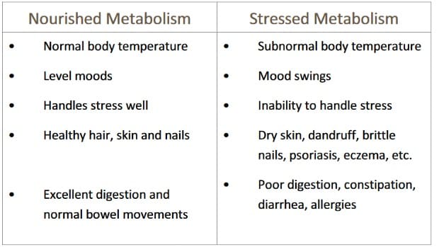Metabolism Chart