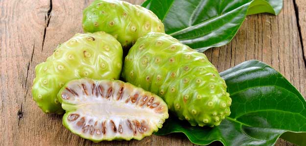 Noni Juice Benefits: गठिया, डायबिटीज और मोटापे की समस्या में मददगार है नोनी फ्रूट, जानें 5 अद्भुत लाभ!