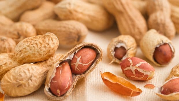 Patch for Peanut Allergy Found Beneficial for Children